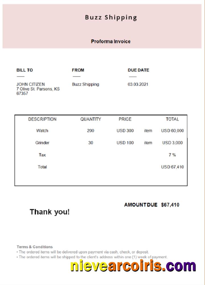 USA Buzz Shipping invoice